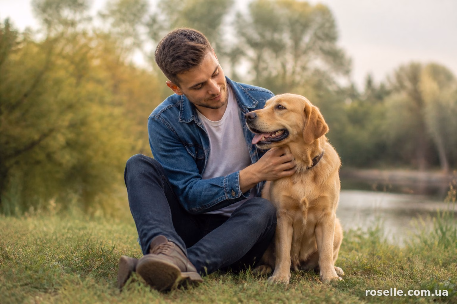 Ім’я для собак хлопчика: цікаві варіанти та поради з вибору